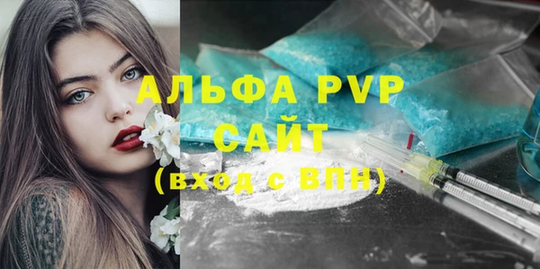 apvp Кукмор