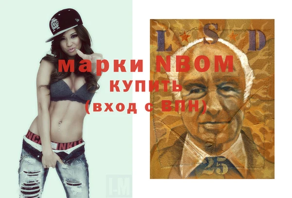 apvp Кукмор