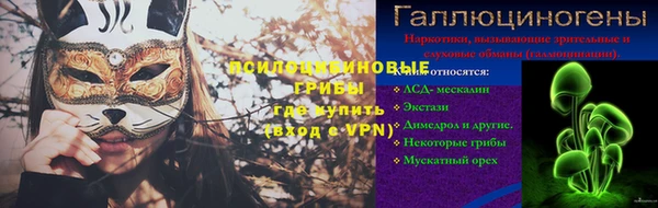 apvp Кукмор