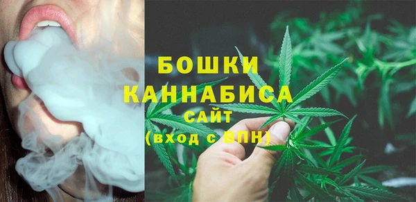 apvp Кукмор